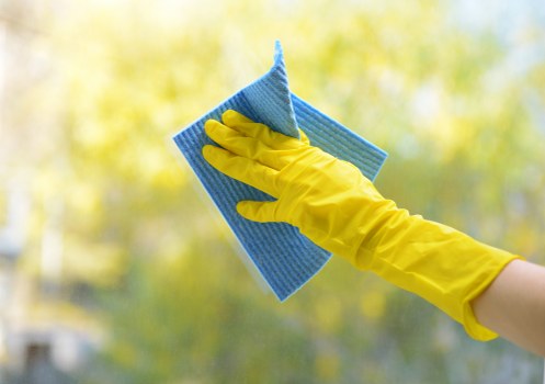 Professional upholstery cleaning for a fabric sofa in a living room
