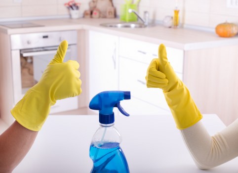 DIY sofa cleaning supplies and upholstery-safe products