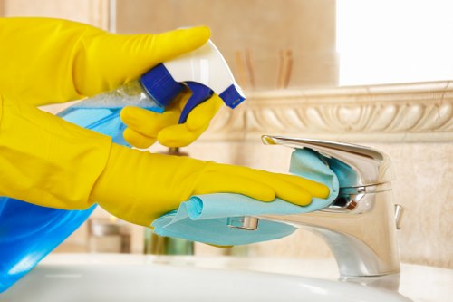 Professional Brixton carpet cleaners refreshing a living room carpet
