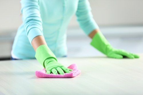 Pet stain odour removal on carpet using enzyme cleaner